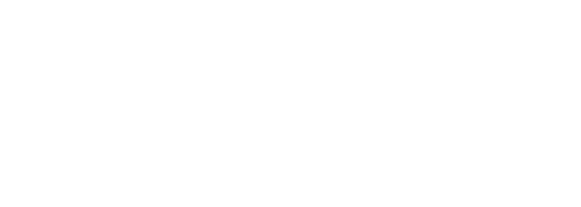 Logo Stef